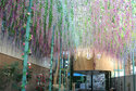 img_0931-83-1200-800-80